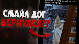 СМАЙЛ ДОГ ВЕРНУЛСЯ Улыбающаяся собака [upl. by Idihc]