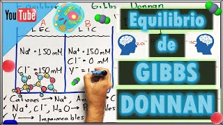 Equilibrio de GIBBS DONNAN [upl. by Euqinomahs198]