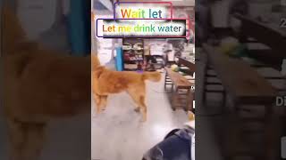 Wait let me drink water likesharesubscribe [upl. by Kaitlin340]