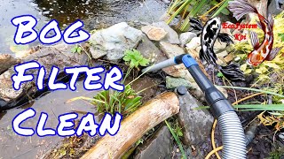 ❄❄ Koi Pond winter prep ❄🌡 Cleaning the DIY BOG  WETLAND filter ready for the winter 🐟 [upl. by Ayanaj673]