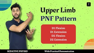 Upper Extremity PNF Patterns  D1 amp D2 Patterns  D1 Flexioin D2 Flexion [upl. by Yrrum]