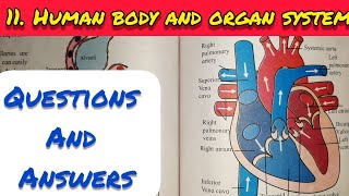 11 HUMAN BODY AND ORGAN SYSTEM ANSWERSEXERCISE  CLASS 8 GENERAL SCIENCE CHAPTER 11  SSC [upl. by Ignatz975]