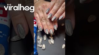 Sunflower Seed Nails  ViralHog [upl. by Aisyla]