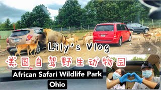 African Safari Wildlife ParkOhio，俄亥俄州的非洲野生動物園，美國自駕游（2020）｜里里LilyChannel [upl. by Ulrich261]