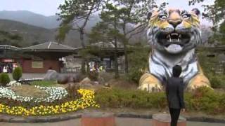 GOO JUNPYO amp GEUM JANDI AT THE ZOO [upl. by Nol579]