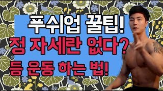 말왕이 알려주는 푸쉬업 꿀팁 푸쉬업으로 등운동을 정자세 있다 없다 [upl. by Bittner890]