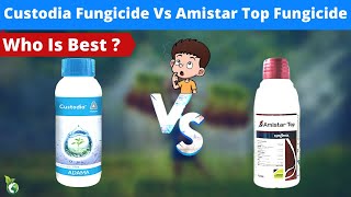 CUSTODIA FUNGICIDE VS AMISTAR TOP FUNGICIDEредAZOXYSTROBIN TEBUCONAZOLE DIFENCONAZOL ред KHETIKI GYAN [upl. by Kcira]