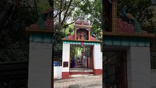 Temples of Malleswaram 🙏do subscribe [upl. by Hessler]