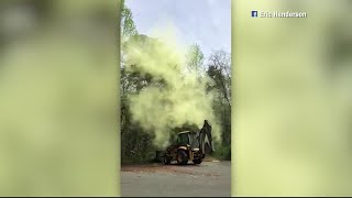 Video Extra Massive pollen cloud erupts from trees [upl. by Marcel]