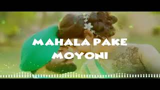 Arafa hussein X kaynaksh song moyoni [upl. by Pelagia]