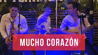 Mucho Corazón Cover  Latin Time  Live [upl. by Ybocaj]