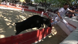 MONTFRINCourse CamarguaiseAvenir30042023 [upl. by Aenet776]