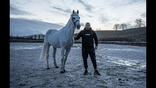 Kizo  PEGAZ prodHubi x Michał Graczyk [upl. by Llezo]