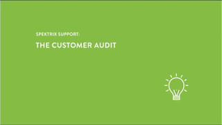 The Customer Audit in Spektrix [upl. by Aedrahs]