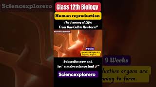 Human Reproduction Class 12th Biology chapter 3 neet  Cbse ncert Part 4 [upl. by Yrbua442]