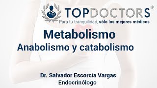 Metabolismo  Anabolismo y catabolismo ¿Qué son [upl. by Marcello]