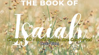 Isaiah 40  God’s People Are Comforted [upl. by Anauqahc852]