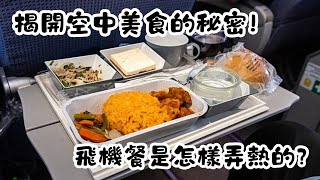 飛機餐是怎樣弄熱的？飛機餐如何快速加熱？揭開空中美食的秘密！｜冷知識｜陰謀論｜中文字幕 [upl. by Pega]