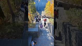 Do you know how much long this waterfall taughannockwaterfallsusatourusaadventureroots [upl. by Henson]