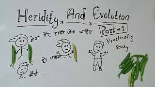 heridity and evolution class 10 part 1 GKP class 10 biology heredity and evolution explain in Hindi [upl. by Delmor180]