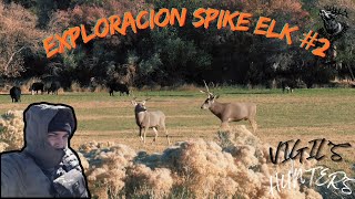 Explorando nuestra AREA para cacería de Spike Elk 20 [upl. by Kai]