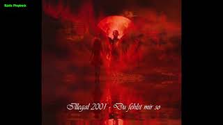 Illegal 2001  Du fehlst mir so Instrumental BV Lyrics Karaoke [upl. by Vudimir]