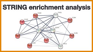 STRING enrichment analysis Brief introduction to the gene set enrichment functionality of STRING [upl. by Stacy]