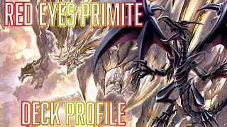 YUGIOH Red Eyes Black Dragon Primite Deck Profile [upl. by Susette344]