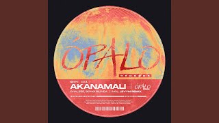 Akanamali LevyM Remix [upl. by Decato]