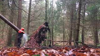 Windwurf Hänger zu Brennholz aufarbeiten [upl. by Abigail]