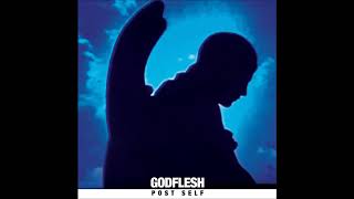 Godflesh  Mortality Sorrow [upl. by Arorua]