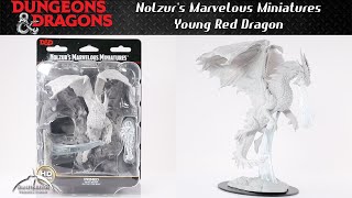 Dungeons and Dragons Nolzurs Marvelous Miniatures Young Red Dragon Unboxing [upl. by Ylil153]