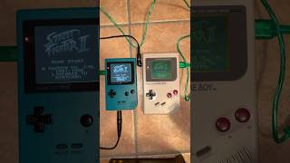 Game Boy Classic  Game Boy Pocket  2 players game cable linked [upl. by Gotthelf224]