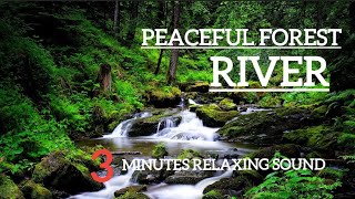 Relaxing River SoundsPeaceful Forest RiverHD 1080pNature Video 3 Minutes [upl. by Evars729]