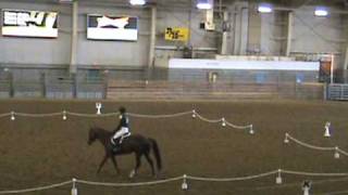 WAHSET State Dressage  Catch Ride [upl. by Sokul]