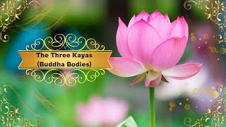 Understanding the Three Kayas The Buddha Bodies in Buddhism [upl. by Siramay]