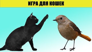 ВИДЕО ИГРЫ ДЛЯ КОШЕК КОТОВ 4 ВЫПУСК  ПТИЧКА  ПТИЦА [upl. by Almira586]