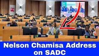 Chamisa Speaks Out As Zimbabwe Hosts SADC Summit [upl. by Artina266]