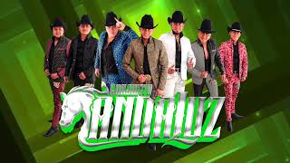 Inténtalo  Conjunto Andaluz Estreno 2022 Huapango Merequetengue [upl. by Ttebroc466]