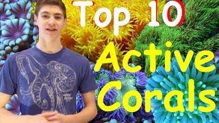 Top 10 Most Active Corals for Reef Tanks [upl. by Haibot]