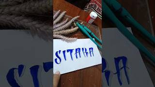 Sitara crypto font designtrending shorts calligraphy signature trending [upl. by Aynotan]