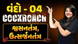 વંદો 04  Cockroach  વંદાનું શ્વસનતંત્ર અને ઉત્સર્જન તંત્ર  Class 11thNEET [upl. by Anecuza]