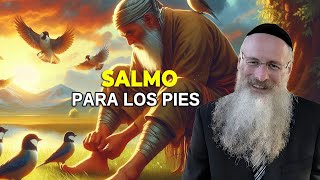 Salmo para los Pies [upl. by Karla394]