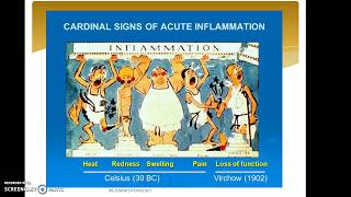 Inflammation Part 1 Cardinal signs of Inflammation [upl. by Calvano]