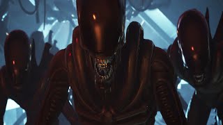 Xenomorph Fortnite Crew in Action gamingmam8 CronicalDignation CheekySod Ainzbob [upl. by Enner]