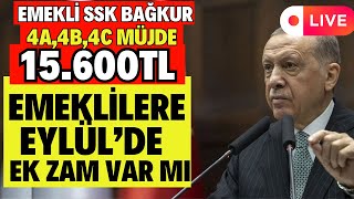 4A4B4C EMEKLİ MAAŞLARI YENİ ARTIŞ ENFLASYON DÜZENLEMESİ 15600TL KÖK MAAŞ DEĞİŞİKLİĞİ OLACAK [upl. by Wolfram843]