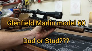 Glenfield Model 60 from dud to stud [upl. by Horick]