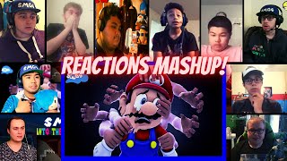 SMG4 Into the Dark Web Reactions Mashup [upl. by Aihsemek]