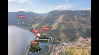 The phenomenal Quinta da Capela Douro Valley Portugal [upl. by Dnalyar47]