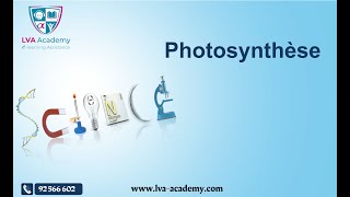 ✅ Science  Photosynthèse  1ère année [upl. by Harias170]